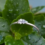 Dainty Oak Stacker_1