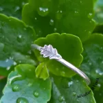 Dainty Oak Stacker_2